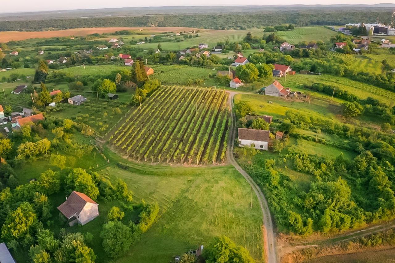 Village Wine House Mandicevac Esterno foto