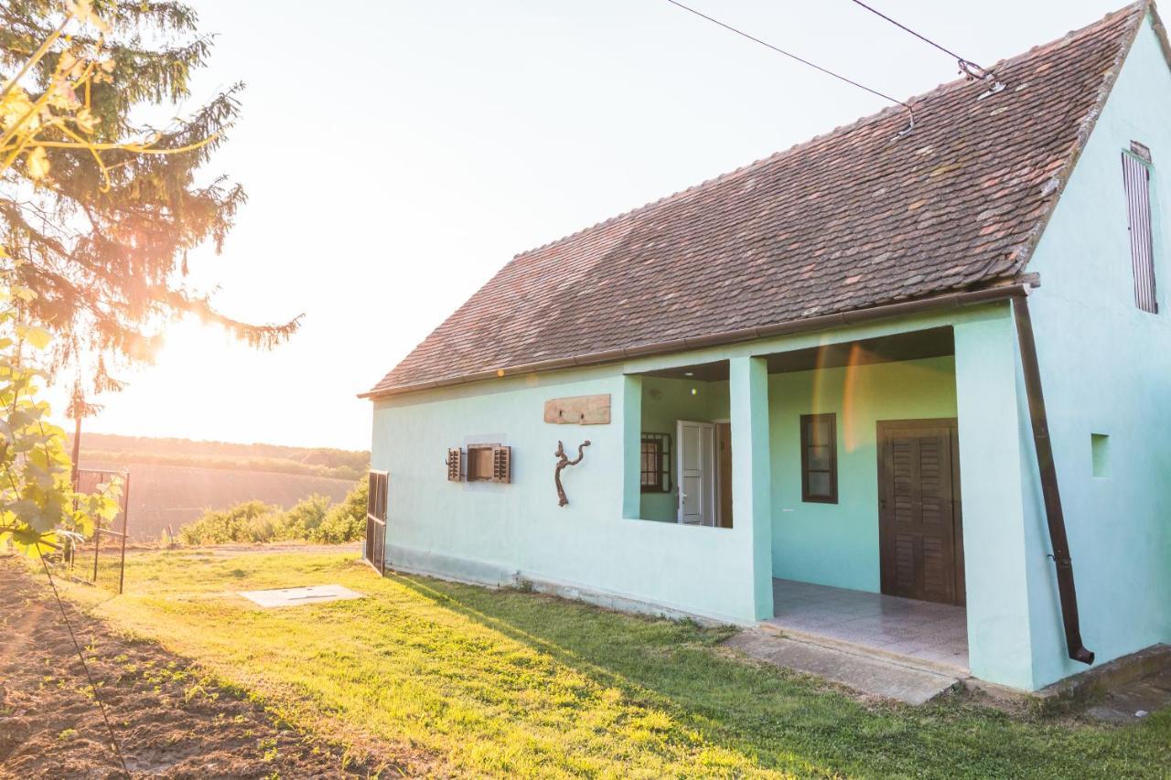 Village Wine House Mandicevac Esterno foto