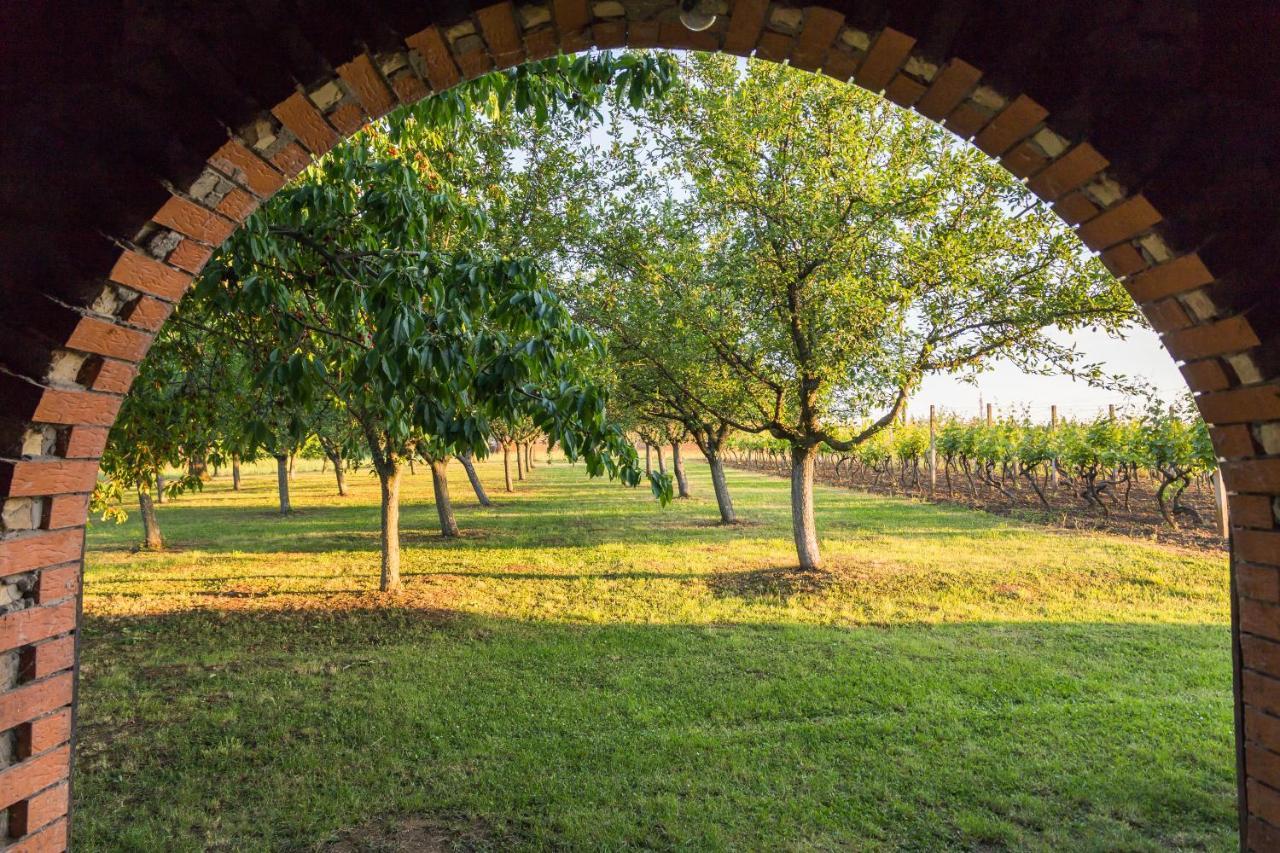 Village Wine House Mandicevac Esterno foto
