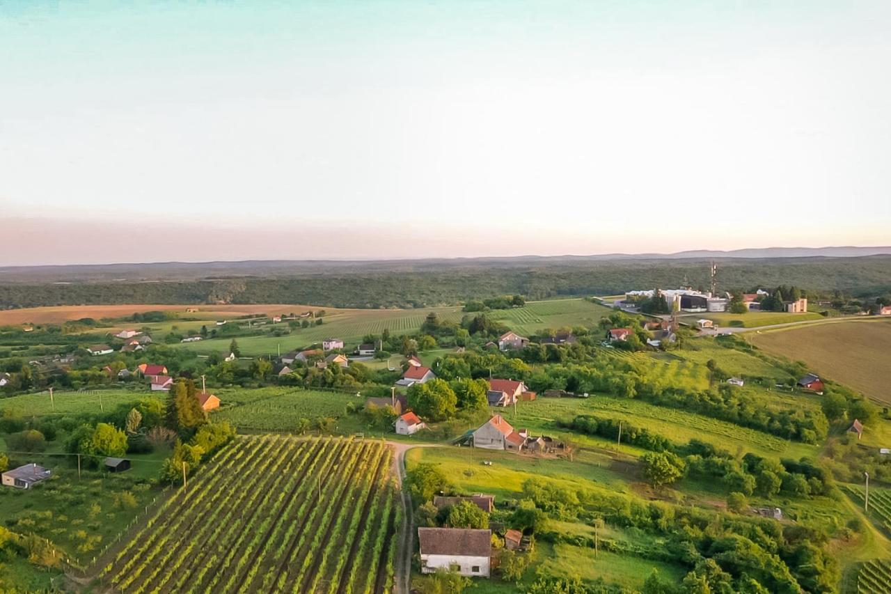 Village Wine House Mandicevac Esterno foto