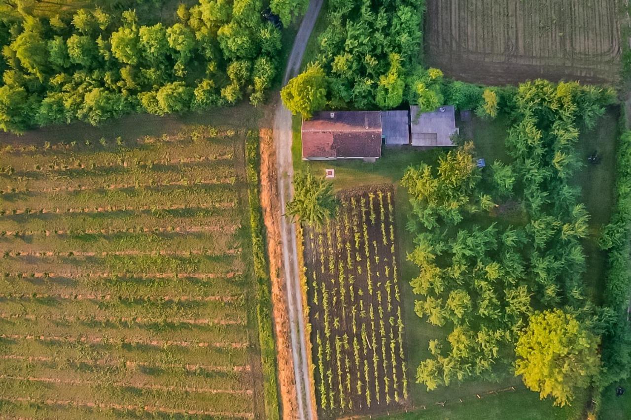 Village Wine House Mandicevac Esterno foto