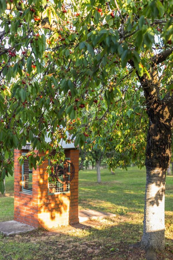Village Wine House Mandicevac Esterno foto