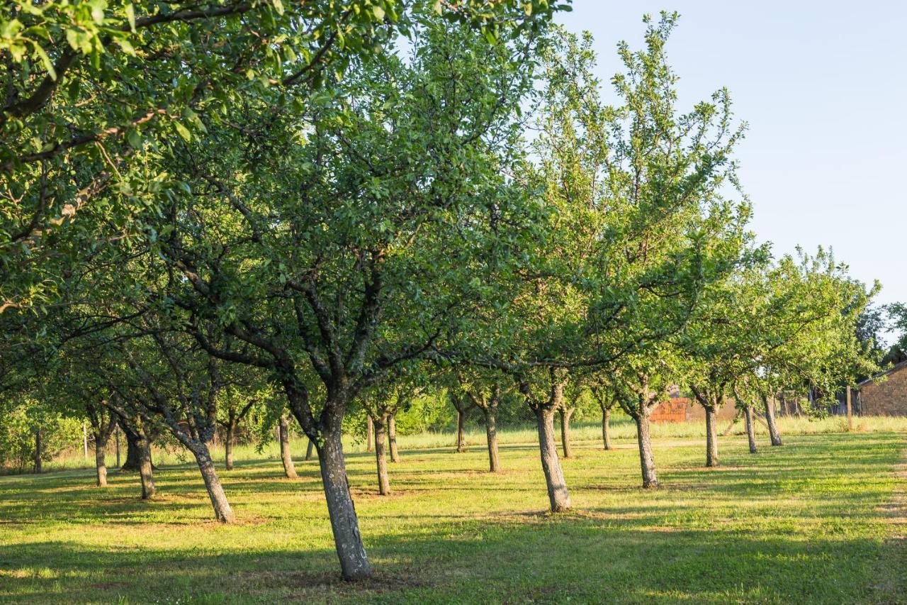 Village Wine House Mandicevac Esterno foto