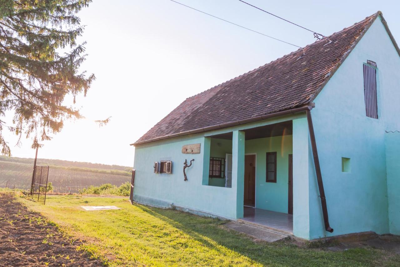 Village Wine House Mandicevac Esterno foto