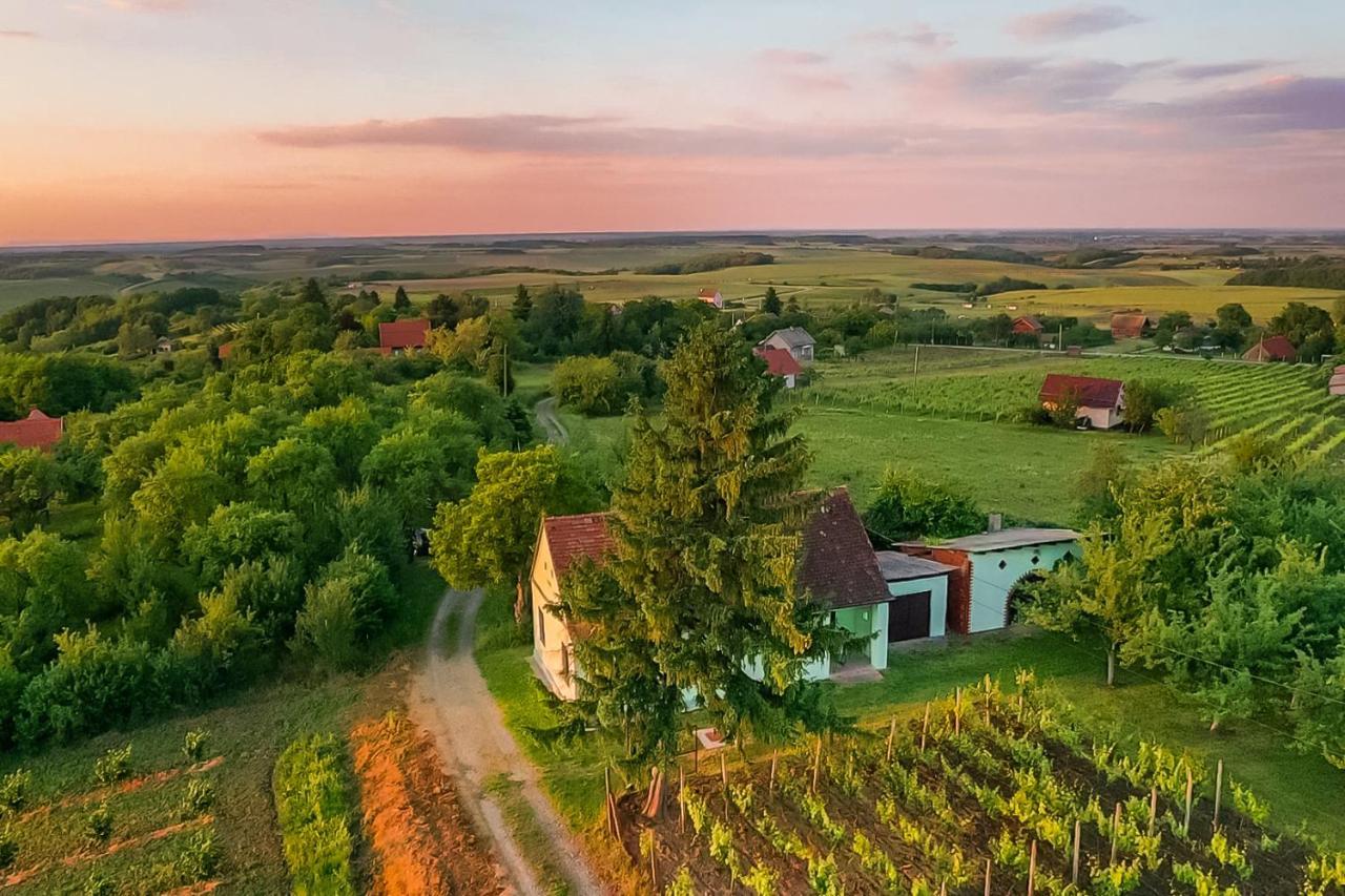 Village Wine House Mandicevac Esterno foto