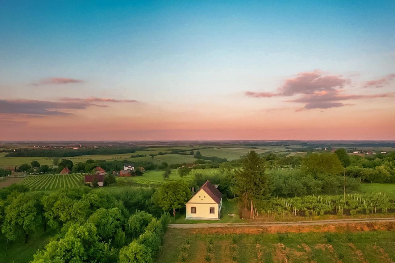 Village Wine House Mandicevac Esterno foto