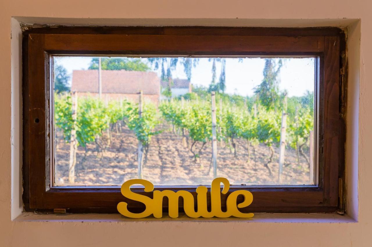Village Wine House Mandicevac Esterno foto