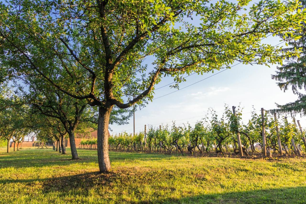 Village Wine House Mandicevac Esterno foto