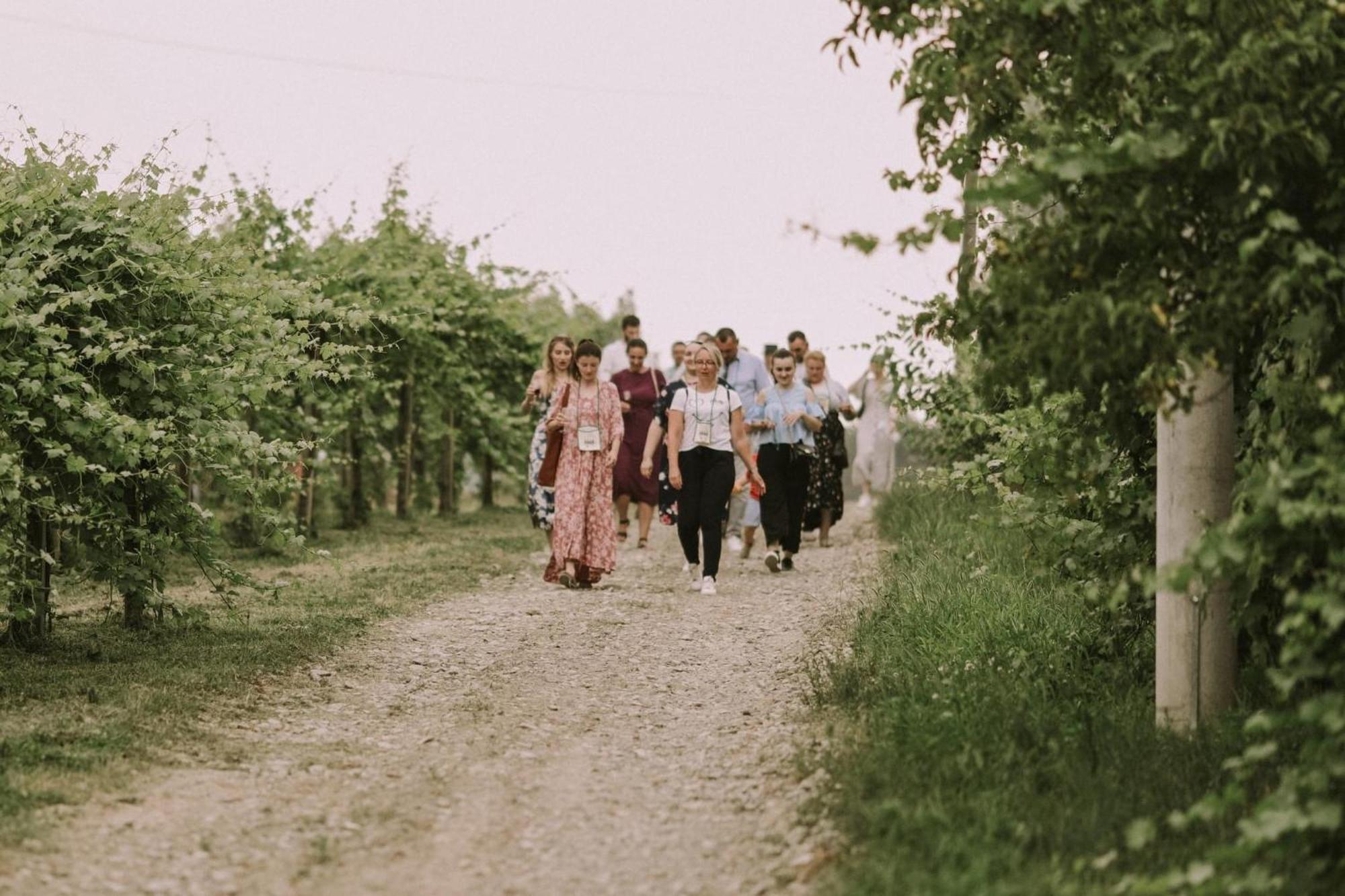 Village Wine House Mandicevac Esterno foto